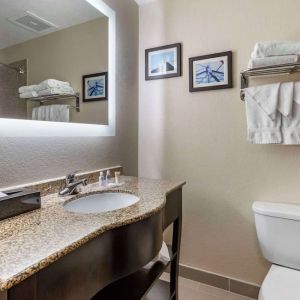 Guest bathroom with shower at Comfort Suites Phoenix Airport.