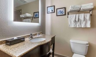 Guest bathroom with shower at Comfort Suites Phoenix Airport.