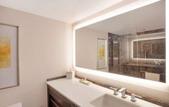 Guest bathroom with shower at Hilton McLean Tysons Corner.