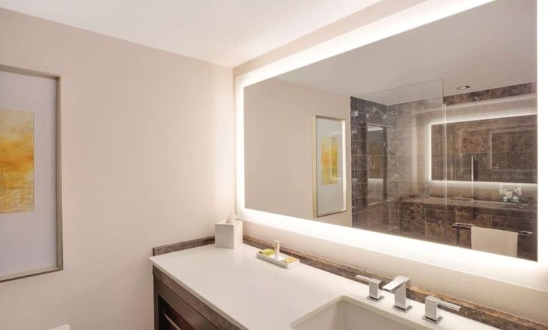 Guest bathroom with shower at Hilton McLean Tysons Corner.