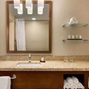 Guest bathroom with shower at Embassy Suites By Hilton Denver Downtown Convention Center.