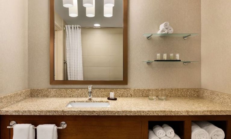 Guest bathroom with shower at Embassy Suites By Hilton Denver Downtown Convention Center.