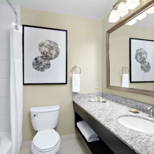 Guest bathroom with shower and tub at DoubleTree Suites By Hilton Hotel Charlotte - SouthPark.