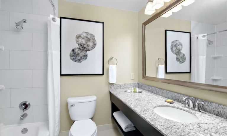 Guest bathroom with shower and tub at DoubleTree Suites By Hilton Hotel Charlotte - SouthPark.