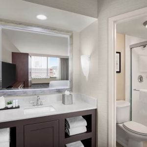 Guest bathroom with shower at Embassy Suites By Hilton Fort Worth Downtown.

