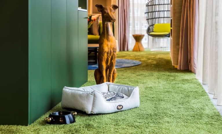 Pet friendly amenities at nhow London.