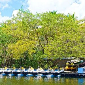 Watersports and kayaking at Parrot Key Hotel & Villas.