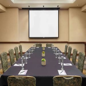 Professional meeting room at Hyatt Regency Valencia.