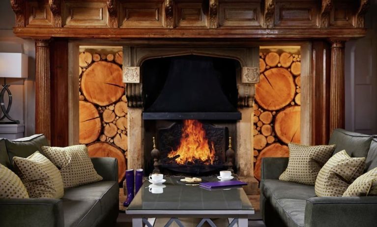 Lounge area with fireplace at Alexander House Hotel And Utopia Spa Hotel.