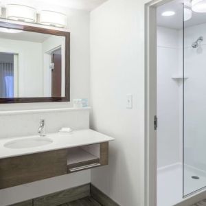 Guest bathroom with shower at Hampton Inn & Suites Atlanta Perimeter Dunwoody.