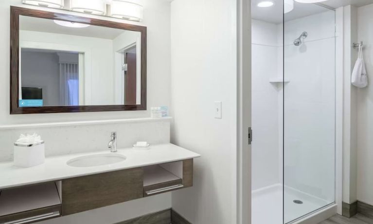 Guest bathroom with shower at Hampton Inn & Suites Atlanta Perimeter Dunwoody.