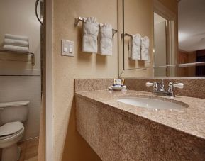 Guest bathroom with shower at Best Western Pearland Inn.