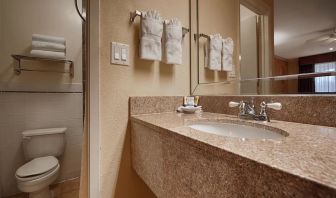 Guest bathroom with shower at Best Western Pearland Inn.