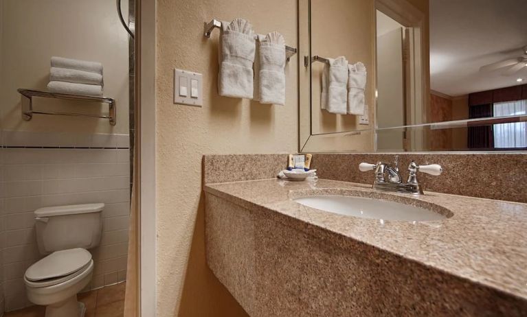 Guest bathroom with shower at Best Western Pearland Inn.