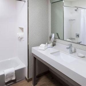 Guest bathroom with shower and tub at Courtyard By Marriott Fort Worth Historic Stockyards.