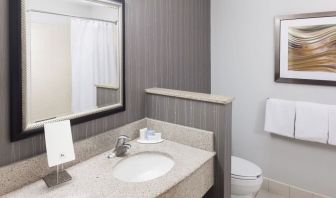 Guest bathroom with shower at Courtyard By Marriott Hattiesburg.