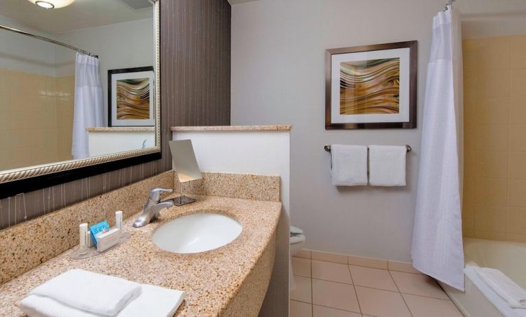 Guest bathroom with shower and tub at Courtyard By Marriott Montgomery Prattville.