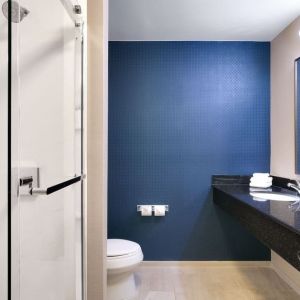 Guest bathroom with shower at Fairfield Inn & Suites By Marriott Albany.