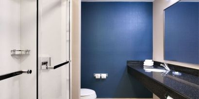 Guest bathroom with shower at Fairfield Inn & Suites By Marriott Albany.