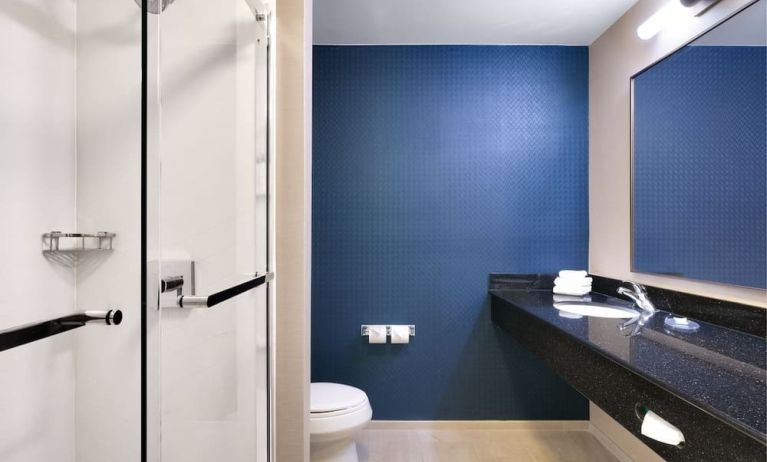 Guest bathroom with shower at Fairfield Inn & Suites By Marriott Albany.