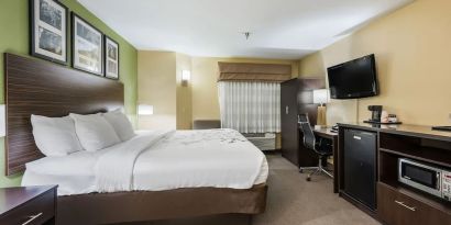 Romantic king room at Spark By Hilton Oxford.