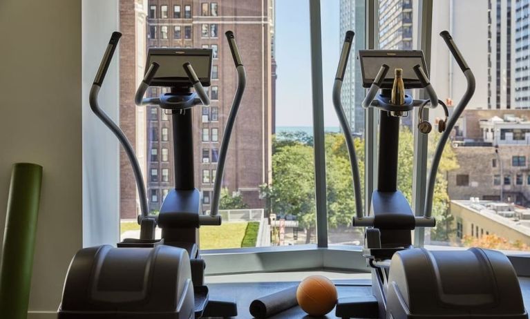 Fitness center at Viceroy Chicago.