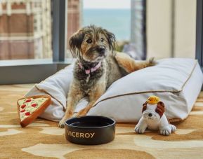 Pet friendly rooms at Viceroy Chicago.