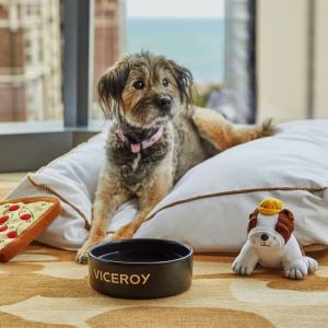 Pet friendly rooms at Viceroy Chicago.