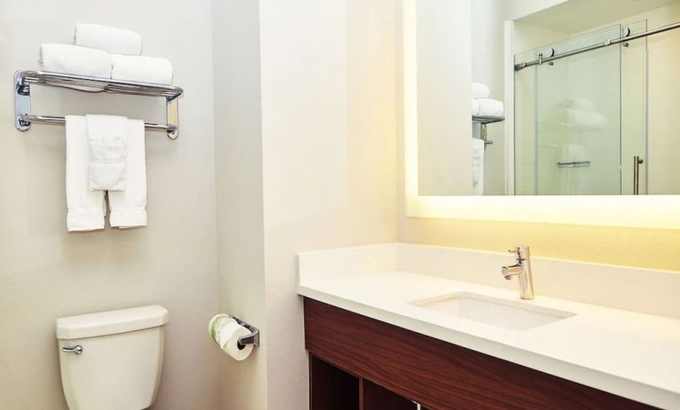 Guest bathroom with shower at Holiday Inn Express & Suites Corona.