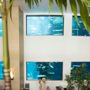 Two-story, saltwater indoor Oceanarium at Alohilani Resort Waikiki Beach.