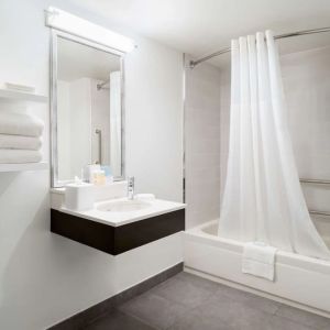 Guest bathroom with shower and tub at Hampton Inn Philadelphia Center City - Convention Center.