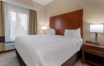 Day use room with natural light at Comfort Inn & Suites Mankato.