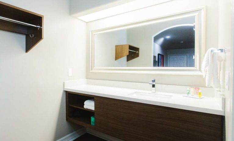 Private guest bathroom with free toiletries at Palace Inn Beltway 8 & Bissonnet.