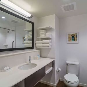 Guest bathroom with shower and tub at Hampton Inn Chicago North/Loyola Station.