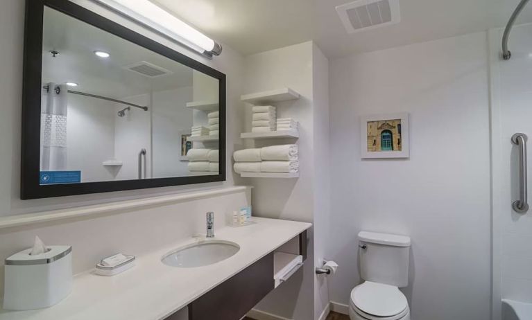 Guest bathroom with shower and tub at Hampton Inn Chicago North/Loyola Station.