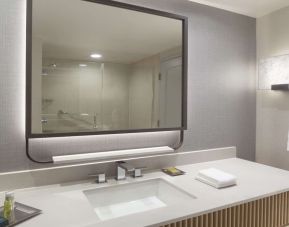 Guest bathroom with shower at Hilton Anatole.