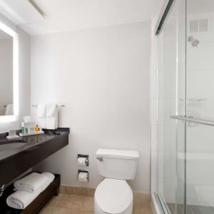 Guest bathroom with shower at Hilton Atlanta.