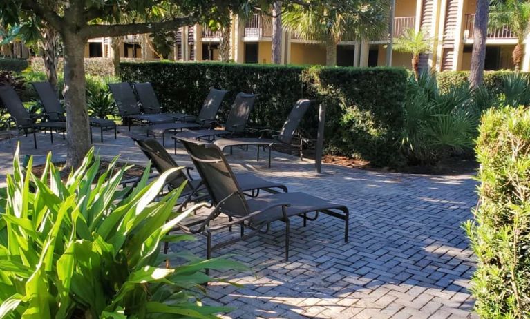 Loungers in the garden of DoubleTree By Hilton Orlando At SeaWorld.