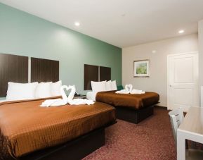 Day use twin room with workdesk and private bathroom at Express Inn - Spring.