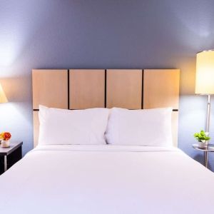 King bed at Sonesta Simply Suites Dallas Galleria.