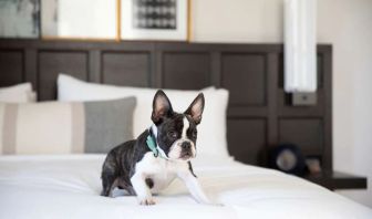 The Clift Royal Sonesta is pet friendly.