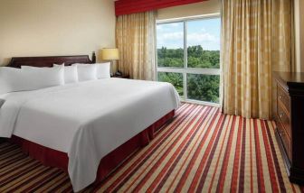 Comfortable king size bed at the Hilton Charlotte Airport