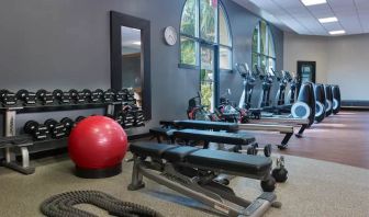 Fully equipped fitness center at the DoubleTree by Hilton Orlando at SeaWorld.