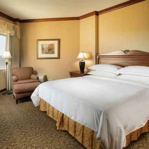 Bright and comfortable hotel room with king size bed and window at the DoubleTree by Hilton Lisle-Naperville.