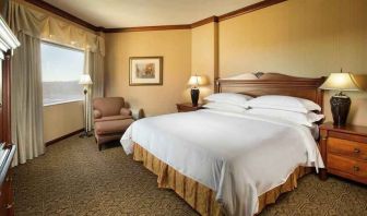 Bright and comfortable hotel room with king size bed and window at the DoubleTree by Hilton Lisle-Naperville.