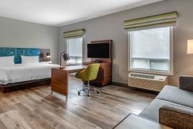 Spacious studio space with 1 king bed, desk, sofabed, couch and tv at the Hampton Inn & Suites by Hilton Edmont