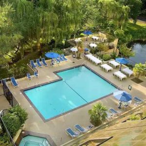 Beautiful outdoor pool area with garden at the Hilton Bellevue.