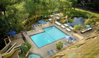 Beautiful outdoor pool area with garden at the Hilton Bellevue.