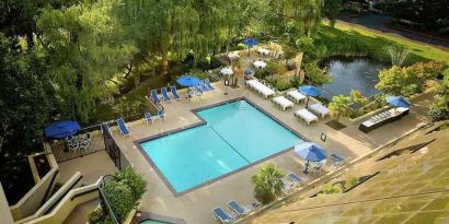 Beautiful outdoor pool area with garden at the Hilton Bellevue.