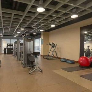 Fitness center with treadmills at the Hilton Baltimore BWI Airport.